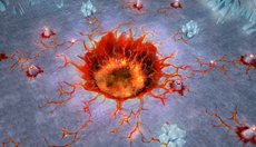 ꡼ No.003 | ̲ʤΦΥ׸ĹǸΰ֥͡פ̲뿷ޥåס֥Х륭꡼׼ΥХ󥿥󥤥٥Ȥ⥹