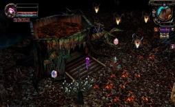 ������#005�Υ���ͥ���/��̲��ʤ���Φ�����Υ��ס���ư��Ũ���ݤ��Ʒи��ͤ�Ԥ������ƥब����