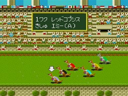 ���������꡼ No.003�Υ���ͥ������ / �֥ץ���������EGG�ס��֥������ι�Υ��󥬥롼�졼�� ���ӡ�!!��PC���󥸥��ǡˡ٤��ۿ�