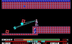 ꡼ No.005Υͥ / ֥ƥFM-7ǡˡפץEGGۿȡܥåȷ֤Ʈ֤Ȥʬ臘󥷥塼ƥ