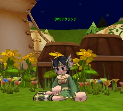 ꡼ No.007Υͥ / ֥סʿȤϱΥ⤬ǽʡȼ͡