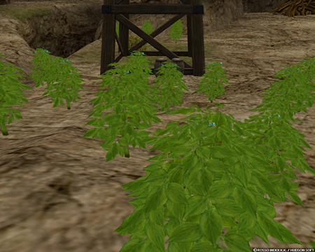 ꡼ No.002Υͥ / ɥ饴ͤƥڥåȤˤ褦Master of Epic: The ResonanceAge UniverseפΥåץǡȤǿޥåסεëפо