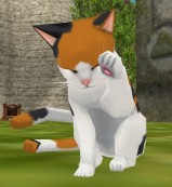 画像ギャラリー No.003のサムネイル画像 / 「Master of Epic」新マップ「ハティル砂漠」&期間限定ガチャの第2弾が登場