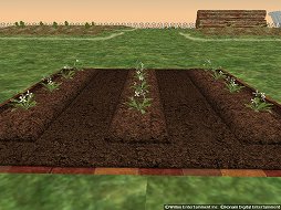 画像ギャラリー No.004のサムネイル画像 / 「Master of Epic」に「栽培」スキルが実装。その概要と今後のアップデート予定をプロデューサー&ディレクターに聞いた