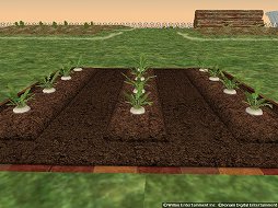 画像ギャラリー No.005のサムネイル画像 / 「Master of Epic」に「栽培」スキルが実装。その概要と今後のアップデート予定をプロデューサー&ディレクターに聞いた