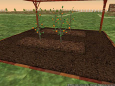 ꡼ No.019 | Master of Epicסʪ餵Ϥ뿷ֺݡפˡѤ餷ڥåȡ֥륭꡼ åפо