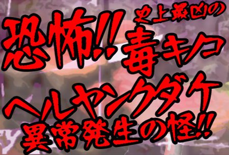 ꡼ No.001Υͥ / õ⥹ڥ롪 ֥󺲡פˡȥإ󥯥ɤ۾ȯ