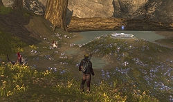 ꡼ No.002 | ֥֥ 饵ס㡼ɡꥪåȻˤѤβħ⤹ࡼӡǺ