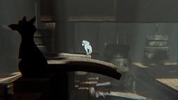The Magician's Hand