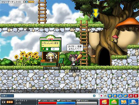 ���������꡼ No.002�Υ���ͥ������ / �֥ᥤ�ץ���������åץǡ��ȼ»ܡ��ݥ���ȥ����ƥ�11���ɲ�