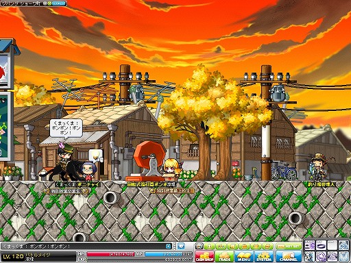 ���������꡼ No.001�Υ���ͥ������ / �֥ᥤ�ץ륹�ȡ��꡼�ס�1��1�����餪����٥�Ȥ�»�