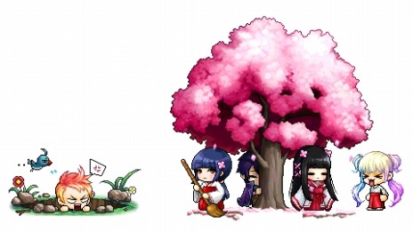 ���������꡼ No.012�Υ���ͥ������ / �֥ᥤ�ץ륹�ȡ��꡼�׿����ʥ����ɥ륰�롼�פ�ȯ�����뿷���ȡ��꡼�֥��˥󥰥���פ�����������Maple Party 2017��ʪ�ξ����