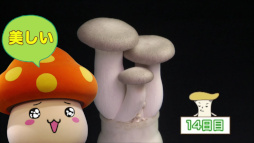 画像ギャラリー No.003のサムネイル画像 / 「メイプルストーリー」「メイプルストーリーM」,ホクトとのコラボ動画第2弾を公開