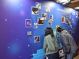 ���������꡼ No.010�Υ���ͥ������ / �֥ᥤ�ץ륹�ȡ��꡼�ס��ݥåץ��åץ��٥�Ȥ���ë��ǥ��������������ȡ�12��29���ޤǳ���