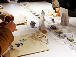 ���������꡼ No.019�Υ���ͥ������ / �֥ᥤ�ץ륹�ȡ��꡼�ס��ݥåץ��åץ��٥�Ȥ���ë��ǥ��������������ȡ�12��29���ޤǳ���