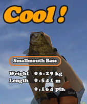 �ѥå�����