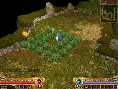 画像集#005のサムネイル/レベルキャップからの開放!「コルム」,夏の大規模アップデート第一弾を実施