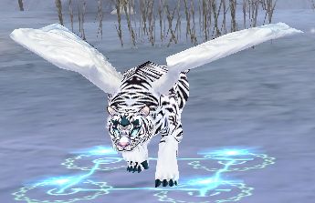 ���������꡼ No.002�Υ���ͥ������ / �֥����׿��������á����ΤΡȸפΥ����ǥ�����ɤ��о�