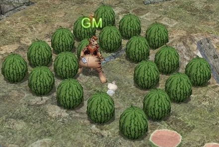 ���������꡼ No.002�Υ���ͥ������ / �֥����ס����������äƥ������ܥå�����������褦