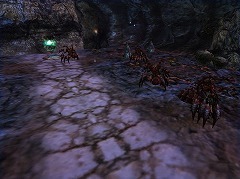 ���������꡼ No.009�Υ���ͥ������ / �֥ʥ��ȥ���饤��ץ����ӥ��ܴ�2��ǯ��ǰ���٥�Ȥ�������������