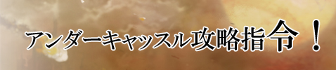 画像ギャラリー No.002のサムネイル画像 / 「ナイトオンラインクロス」,PvPで勝つと経験値が付与されるイベント開催