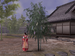 ������#004�Υ���ͥ���/�ֿ�Ĺ����˾ Online�ס����ޥ���å��ʲȶ�Ǽ�ͼ��ޤ��褦