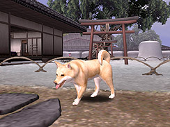 画像ギャラリー No.002のサムネイル画像 / コーエー，「信長の野望 Online」の大型アップデート，「一門の刻」の実装を記念したキャンペーンを明日から実施