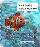 �ѥå�����