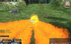 ꡼ No.031 | ƤߥꥢΤʬ䤳ʬˡ֥ʥɡѥ ץ饹緿åץǡȡְŹΥߥꥢԥݡ