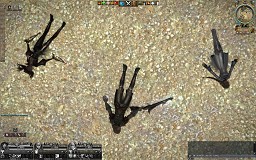 ꡼ No.019 | PRץ쥤60פĶ׿ŪʥȥGE Rפȿɡɤͷ