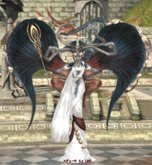 ���������꡼ No.023�Υ���ͥ������ / ����Φ�俷���㥹�Ȥ��������֥���ʥɡ������ѥ� �ץ饹�ס������ȥ��˥塼�����Ʊ���˼»ܤ������ܥ�塼��Υ��åץǡ������Ƥ�����å����褦