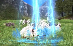 ꡼ No.029 | ̤֥ʥɡѥ ͥå󥹡פοõ뤿ῷΦؾࡪϢܤ