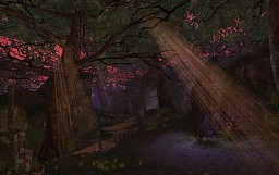 ꡼ No.028 | ϿΦ䳤θء֥ʥɡѥ ͥå󥹡緿åץǡȡְ פθƤ