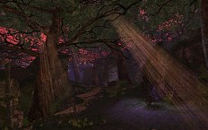 ���������꡼ No.010�Υ���ͥ������ / �֥���ʥɡ������ѥ� ��ͥå��󥹡��緿���åץǡ��ȡְ������ ����������׸��������ȸ��������ɰܽ������ڡ����