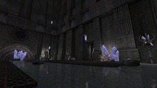 ꡼ No.005Υͥ / ֥ʥɡѥ ͥå󥹡ס쥹ȥɤǥѡȥ饹ȥǥϰɤؤοǽ