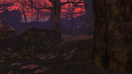 ꡼ No.017Υͥ / ֥ʥɡѥץ쥹ȥɤǥޥ饹ΥåץǡȤ»ܡӥ5ǯǰɼ٥Ȥ