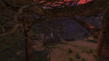 ꡼ No.018Υͥ / ֥ʥɡѥץ쥹ȥɤǥޥ饹ΥåץǡȤ»ܡӥ5ǯǰɼ٥Ȥ