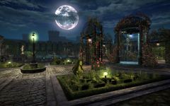 ꡼ No.035 | ֥ʥɡѥ5ǯǰåץǡߥȥץ1Ƥ1025Ρ֥ƥ