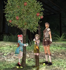 ꡼ No.016 | γȯ̤Ϥ ֥ʥɡѥ ͥå󥹡׳ȯΥѡʹ5ǯǰåץǡȤ鿷եå󥸥ޤ