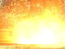 ꡼ No.043 | ֥ʥɡѥ ͥå󥹡פǿ㥹ȡ֥󡦥եڡɲá٥ѥ˥硼餫餭ɹεҡɡ¤ŷϡ