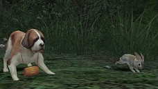 ꡼ No.046 | ֥ʥɡѥ ͥå󥹡פǿ㥹ȡ֥󡦥եڡɲá٥ѥ˥硼餫餭ɹεҡɡ¤ŷϡ