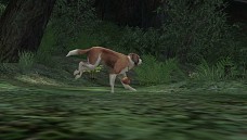 ꡼ No.047 | ֥ʥɡѥ ͥå󥹡פǿ㥹ȡ֥󡦥եڡɲá٥ѥ˥硼餫餭ɹεҡɡ¤ŷϡ