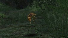 ꡼ No.050 | ֥ʥɡѥ ͥå󥹡פǿ㥹ȡ֥󡦥եڡɲá٥ѥ˥硼餫餭ɹεҡɡ¤ŷϡ