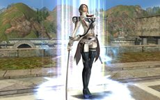 ꡼ No.017Υͥ / ֥ʥɡѥ ͥå󥹡׾尡 ͪ󤬱餸뿷㥹ɲäʤɤΥåץǡȤ»