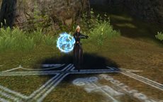 ꡼ No.049Υͥ / ֥ʥɡѥ ͥå󥹡׾尡 ͪ󤬱餸뿷㥹ɲäʤɤΥåץǡȤ»