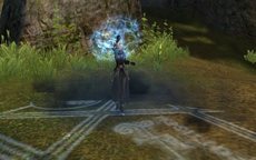 ꡼ No.050Υͥ / ֥ʥɡѥ ͥå󥹡׾尡 ͪ󤬱餸뿷㥹ɲäʤɤΥåץǡȤ»