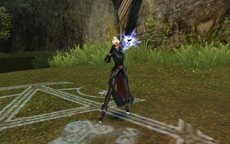 ꡼ No.051Υͥ / ֥ʥɡѥ ͥå󥹡׾尡 ͪ󤬱餸뿷㥹ɲäʤɤΥåץǡȤ»