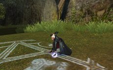 ꡼ No.052Υͥ / ֥ʥɡѥ ͥå󥹡׾尡 ͪ󤬱餸뿷㥹ɲäʤɤΥåץǡȤ»