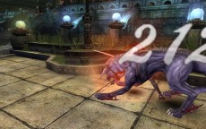 ꡼ No.018Υͥ / ֥ʥɡѥ ͥå󥹡ס緿åץǡȡͥȥפ㥹ȡȥǥɤȡȥӥ󥻥ȡɤо