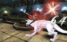 ꡼ No.019Υͥ / ֥ʥɡѥ ͥå󥹡ס緿åץǡȡͥȥפ㥹ȡȥǥɤȡȥӥ󥻥ȡɤо